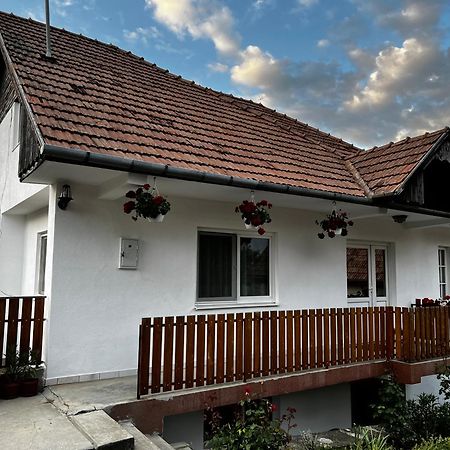 Balázs Vendégház Lupeni  Exterior foto
